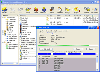 Удобен помощник за сваляне на файлове - Internet Download Manager, версия 6.04