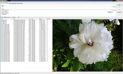 Преглед на графични файлове с WildBit Viewer, версия 6.0