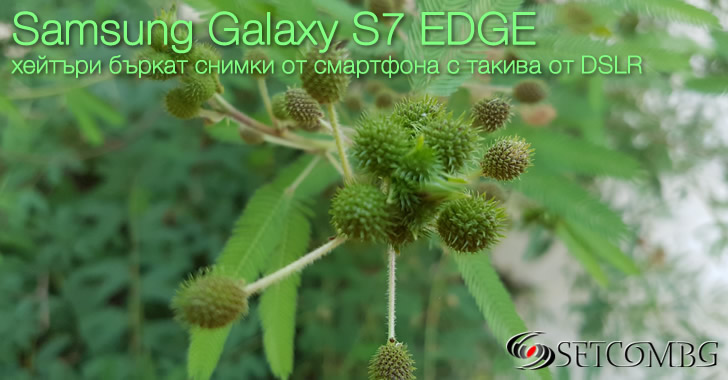 Samsung GALAXY S7 EDGE camera