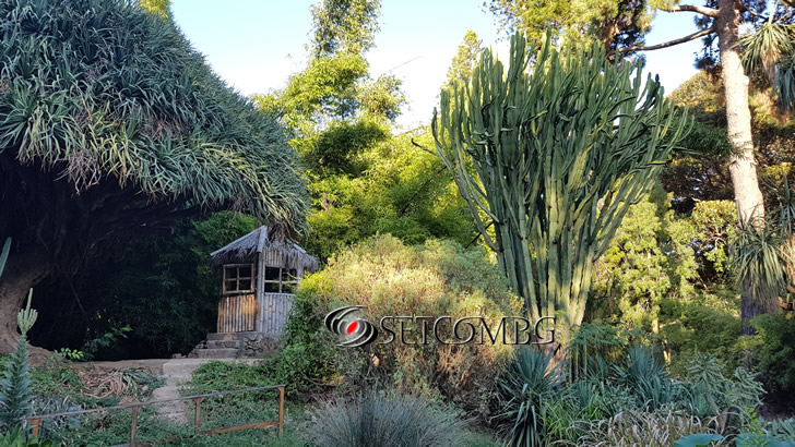 Orto Botanico di Palermo