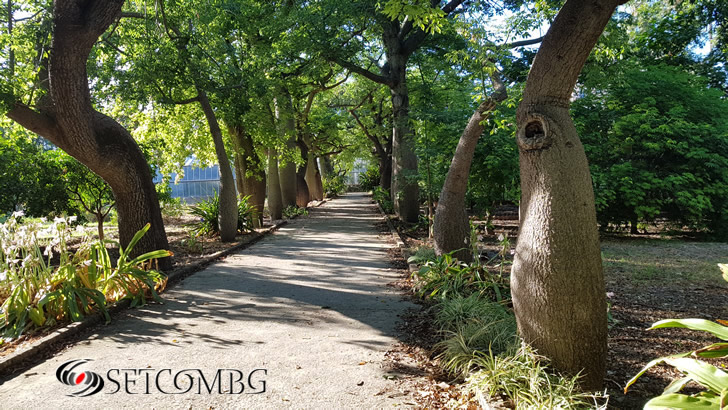 Orto Botanico di Palermo