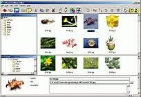 All Media Fixer 6.8